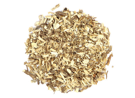 Angelica_Root