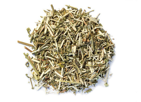 Blue  Vervain